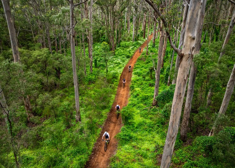 Mark Gunter Photo Awards 2025: Week one showcase
